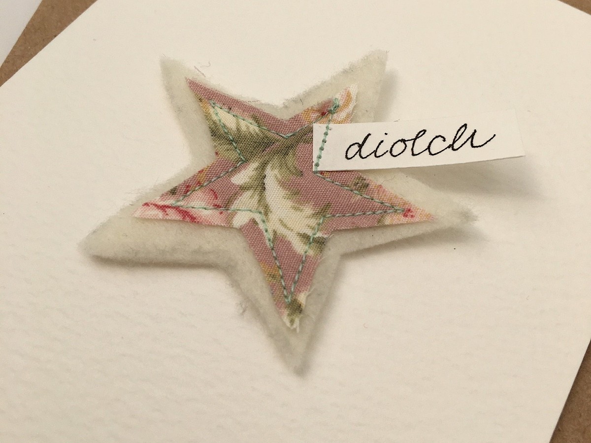 Diolch yn Fawr Package - Pink and Green