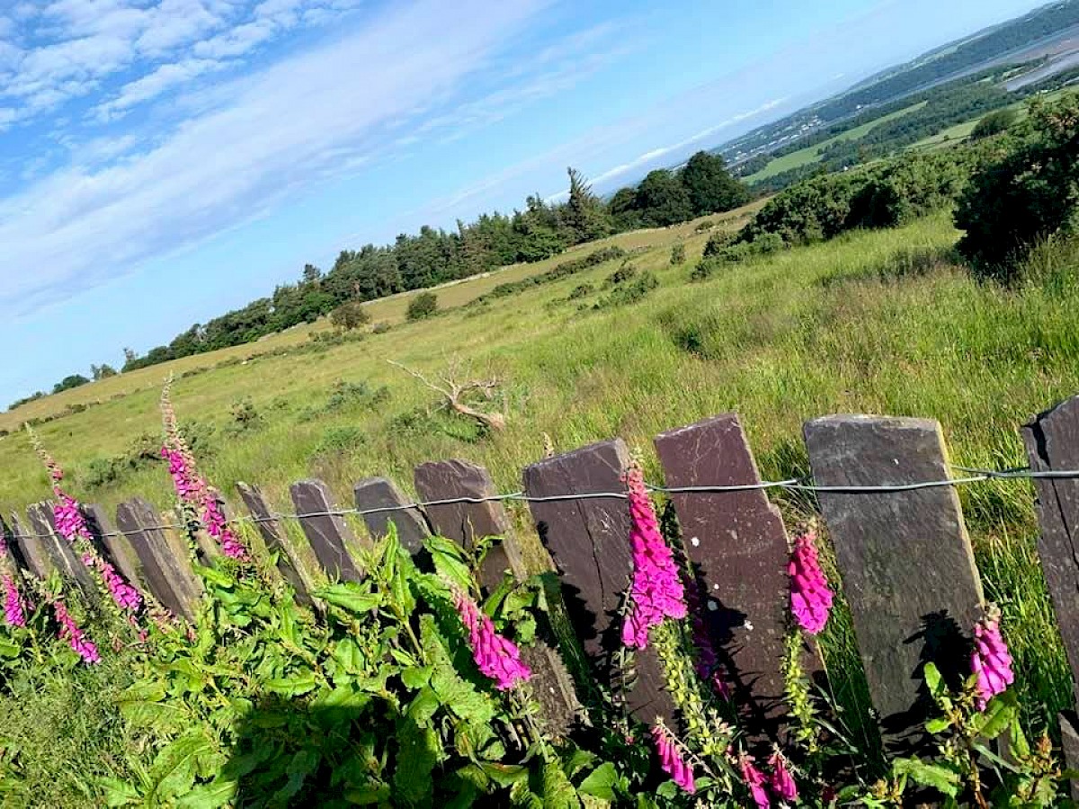 Llanllechid