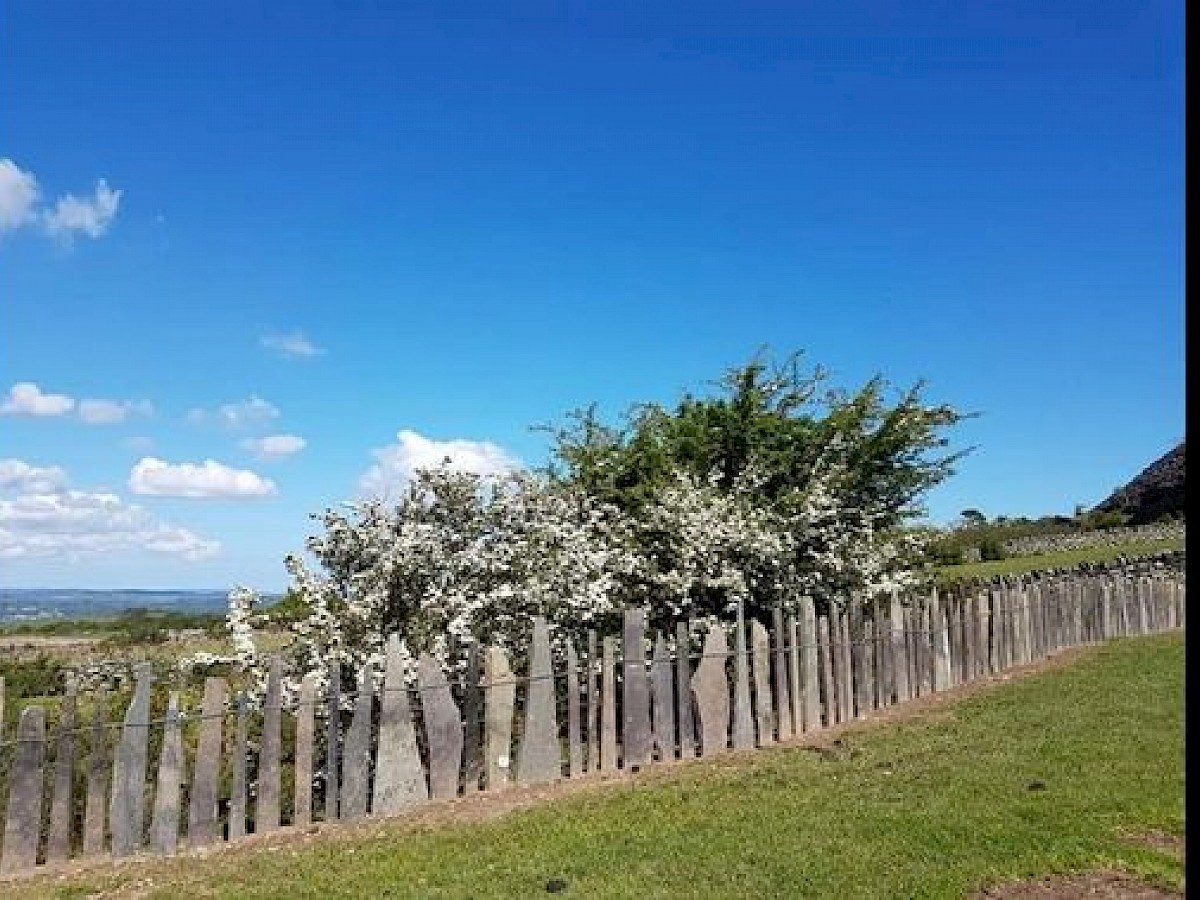 Llanllechid