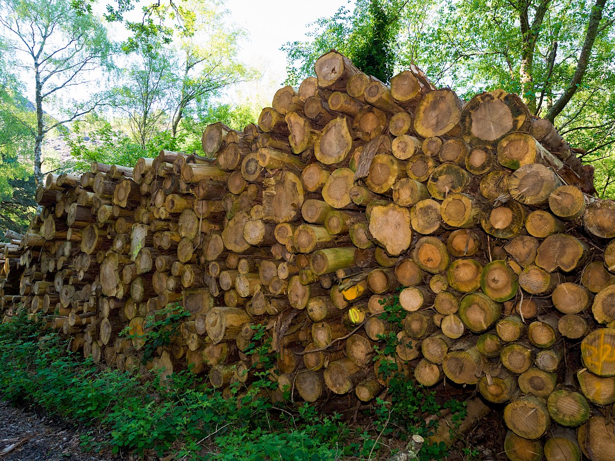 Cadwaladr Woodland Products