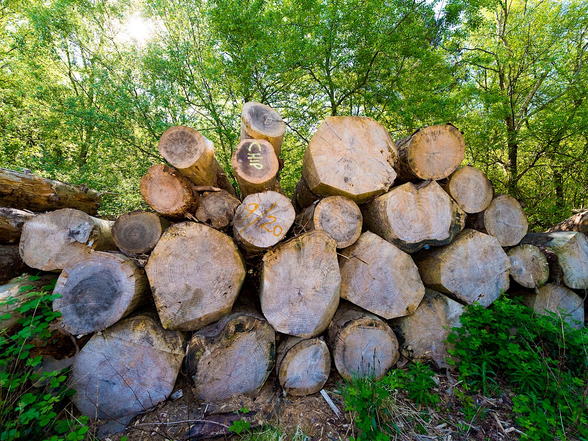 Cadwaladr Woodland Products