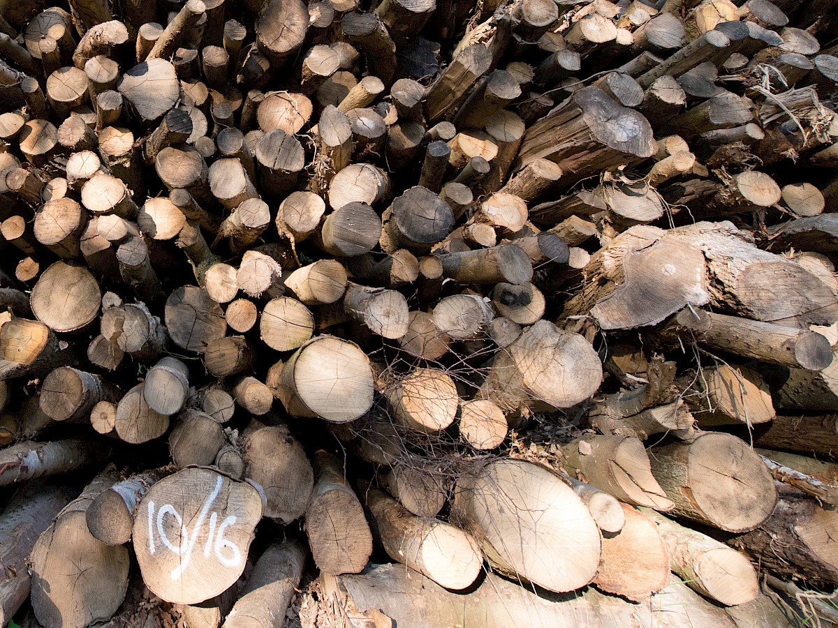Cadwaladr Woodland Products