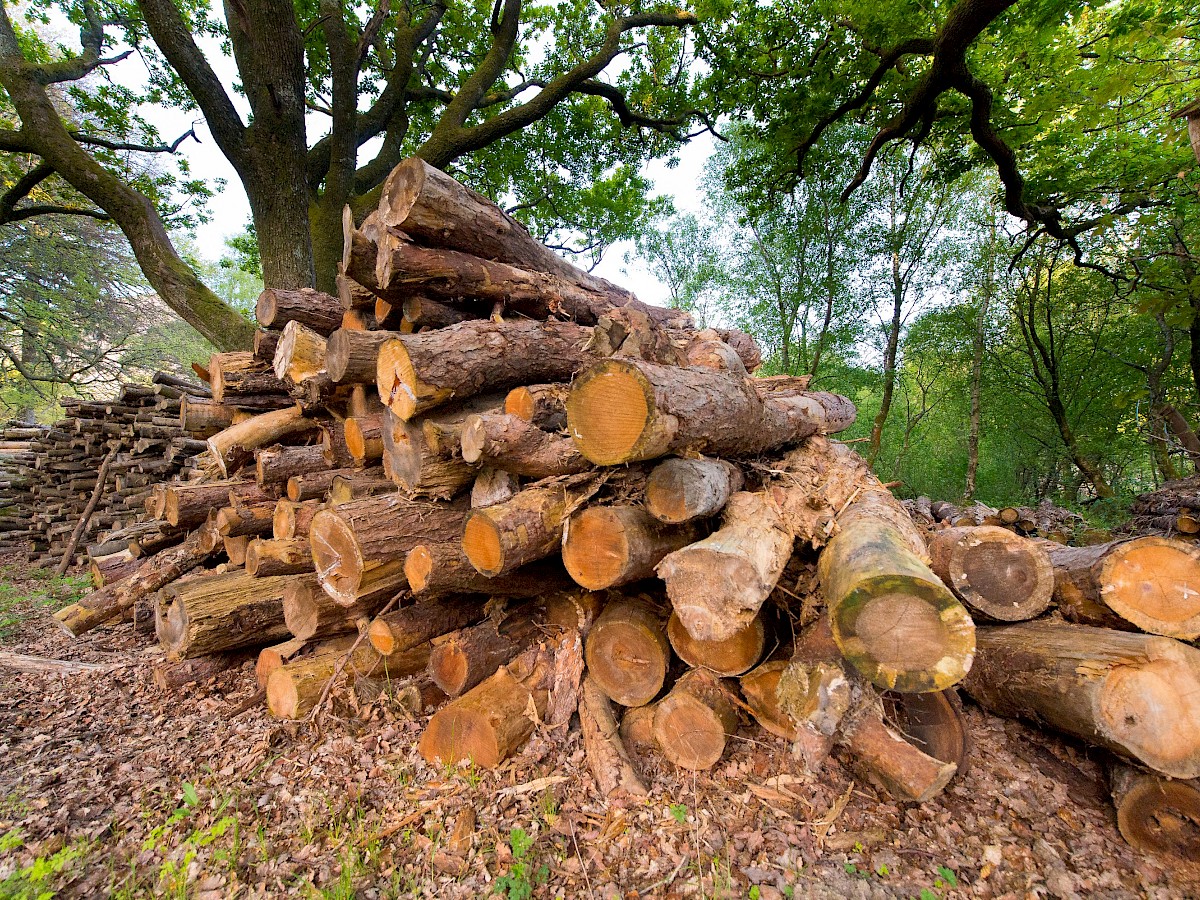 Cadwaladr Woodland Products