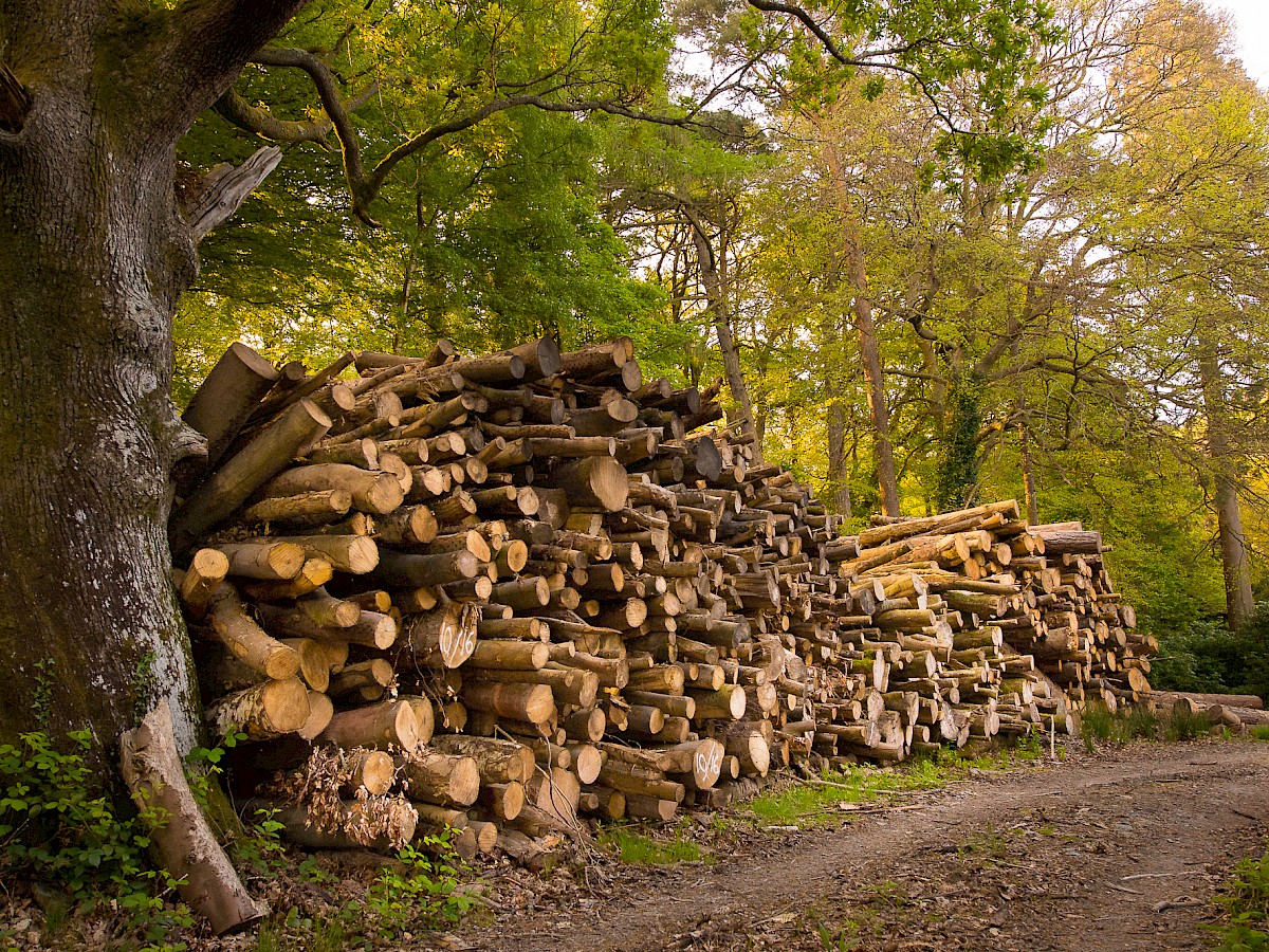 Cadwaladr Woodland Products