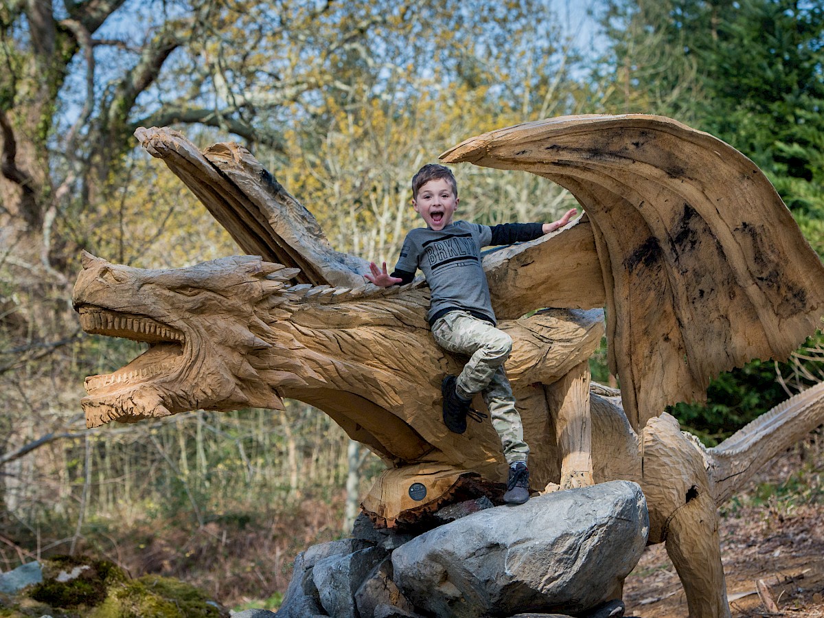 The Bethesda Dragon