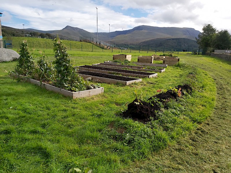 Ffrancon Gardens