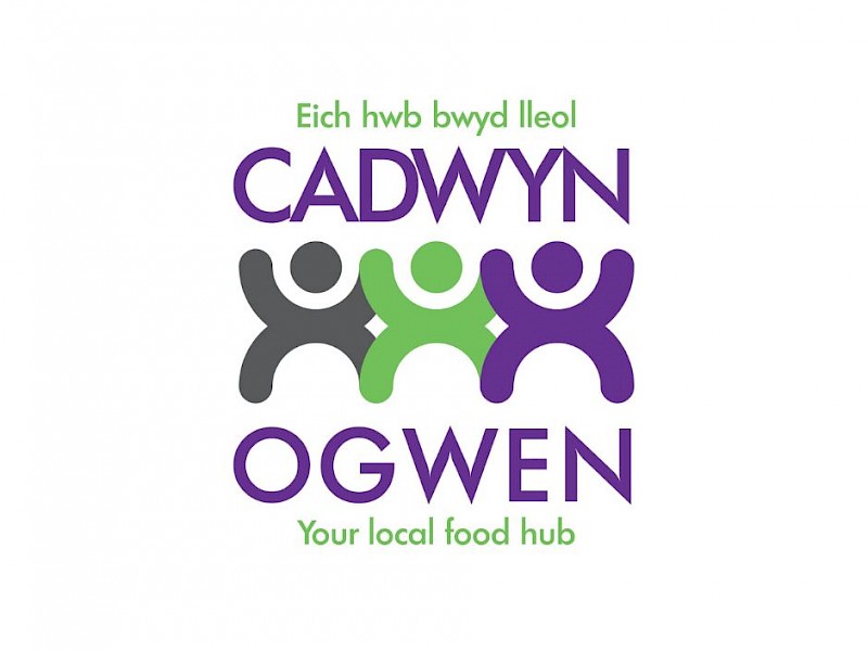 Cadwyn Ogwen
